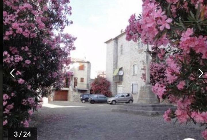 Petite Maison 3* Centre-village * Ruoms